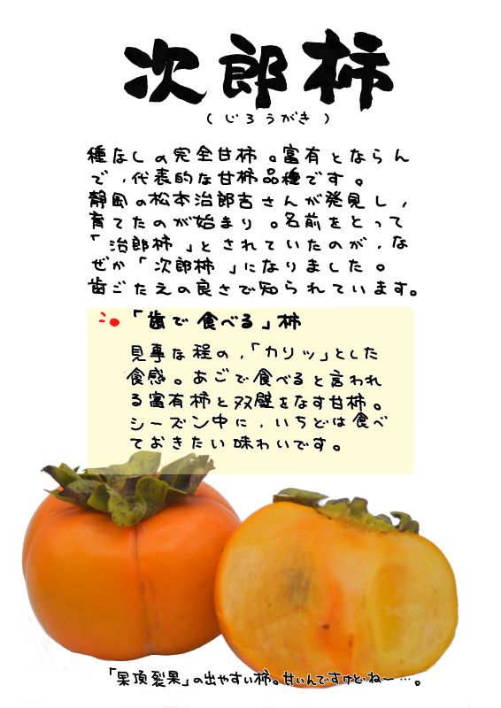次郎柿｜心にチクっとささるワードで作る「ちくわPOP（ちくわぽっぷ）」｜農産物直売所やスーパーの青果売り場の活性化に！農に特化したPOPが無料!!
