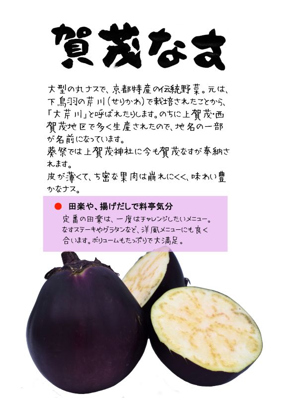 賀茂なす　賀茂ナス　大芹川TX｜心にチクっとささるワードで作る「ちくわPOP（ちくわぽっぷ）」｜農産物直売所やスーパーの青果売り場の活性化に！農に特化したPOPが無料!!