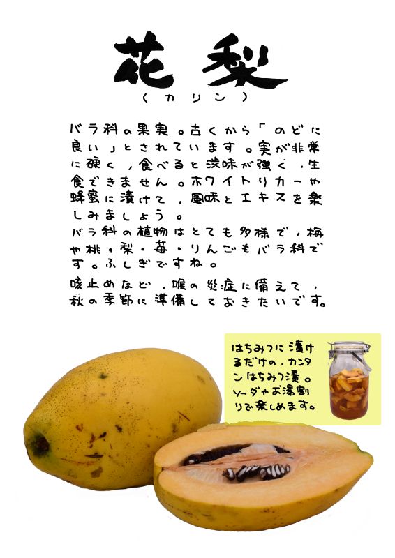 花梨　カリン｜心にチクっとささるワードで作る「ちくわPOP（ちくわぽっぷ）」｜農産物直売所やスーパーの青果売り場の活性化に！農に特化したPOPが無料!!