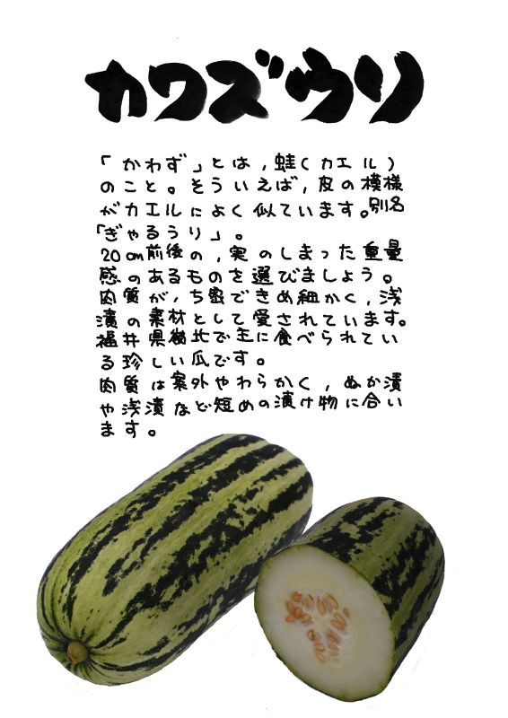 カワズウリ　蛙瓜｜心にチクっとささるワードで作る「ちくわPOP（ちくわぽっぷ）」｜農産物直売所やスーパーの青果売り場の活性化に！農に特化したPOPが無料!!