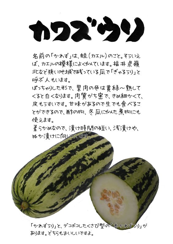 カワズウリ　蛙瓜　TX｜心にチクっとささるワードで作る「ちくわPOP（ちくわぽっぷ）」｜農産物直売所やスーパーの青果売り場の活性化に！農に特化したPOPが無料!!