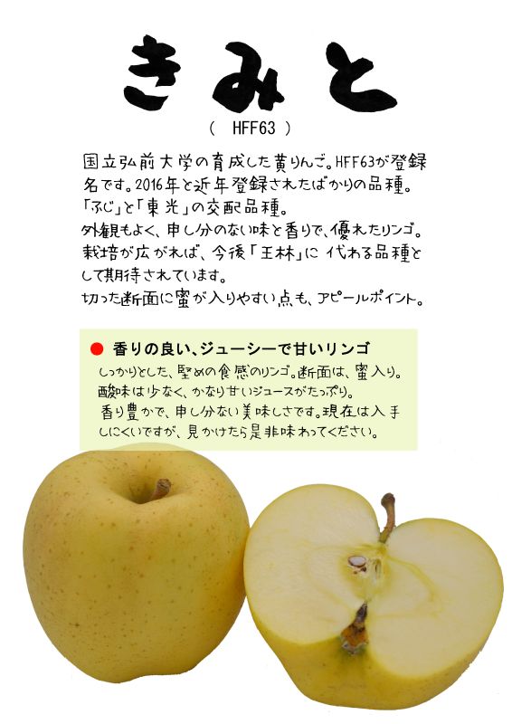 きみと　黄りんご　HFF63　TX｜心にチクっとささるワードで作る「ちくわPOP（ちくわぽっぷ）」｜農産物直売所やスーパーの青果売り場の活性化に！農に特化したPOPが無料!!