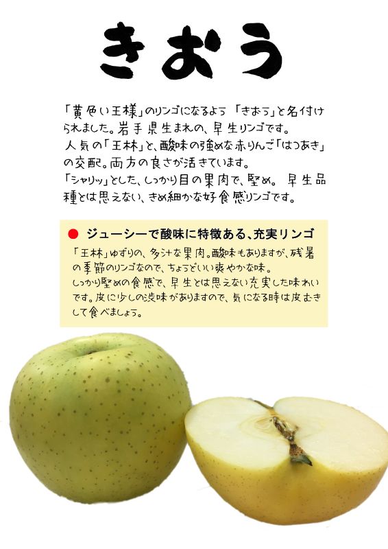 きおう　黄王　りんご｜心にチクっとささるワードで作る「ちくわPOP（ちくわぽっぷ）」｜農産物直売所やスーパーの青果売り場の活性化に！農に特化したPOPが無料!!