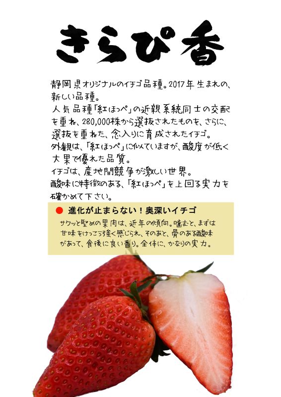 きらぴ香　キラピカ　イチゴ　TX｜心にチクっとささるワードで作る「ちくわPOP（ちくわぽっぷ）」｜農産物直売所やスーパーの青果売り場の活性化に！農に特化したPOPが無料!!