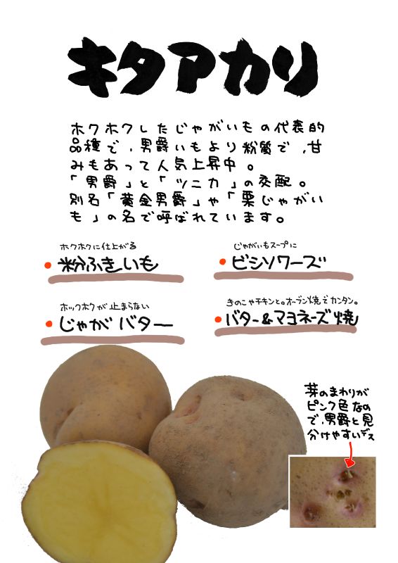 きたあかり　キタアカリ｜心にチクっとささるワードで作る「ちくわPOP（ちくわぽっぷ）」｜農産物直売所やスーパーの青果売り場の活性化に！農に特化したPOPが無料!!