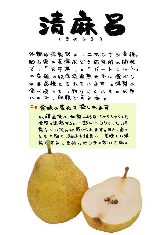 清麻呂　和梨変異　きよまろ｜心にチクっとささるワードで作る「ちくわPOP（ちくわぽっぷ）」｜農産物直売所やスーパーの青果売り場の活性化に！農に特化したPOPが無料!!