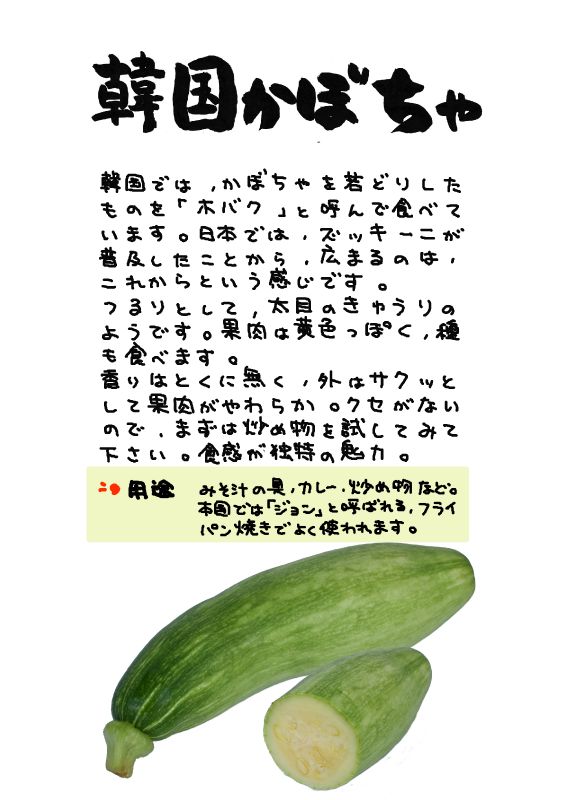 韓国かぼちゃ　korean pumpkin｜心にチクっとささるワードで作る「ちくわPOP（ちくわぽっぷ）」｜農産物直売所やスーパーの青果売り場の活性化に！農に特化したPOPが無料!!