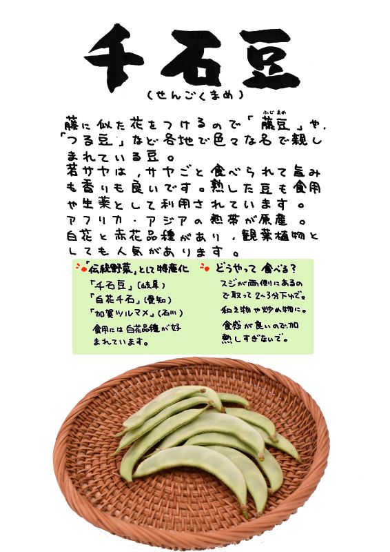 千石豆　Lablab bean｜心にチクっとささるワードで作る「ちくわPOP（ちくわぽっぷ）」｜農産物直売所やスーパーの青果売り場の活性化に！農に特化したPOPが無料!!