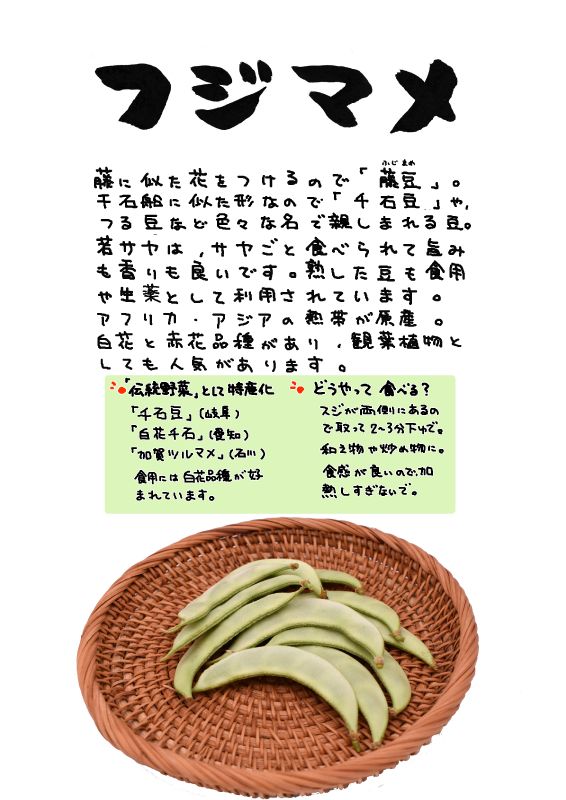 フジマメ　Lablab bean｜心にチクっとささるワードで作る「ちくわPOP（ちくわぽっぷ）」｜農産物直売所やスーパーの青果売り場の活性化に！農に特化したPOPが無料!!