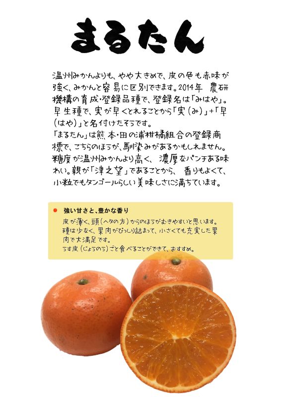 まるたん　みはや｜心にチクっとささるワードで作る「ちくわPOP（ちくわぽっぷ）」｜農産物直売所やスーパーの青果売り場の活性化に！農に特化したPOPが無料!!