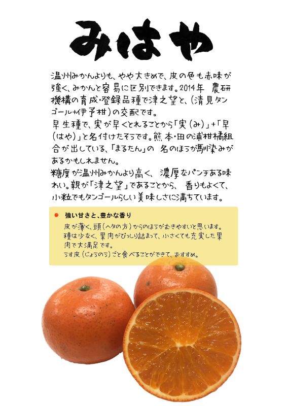 みはや　まるたんみかん｜心にチクっとささるワードで作る「ちくわPOP（ちくわぽっぷ）」｜農産物直売所やスーパーの青果売り場の活性化に！農に特化したPOPが無料!!