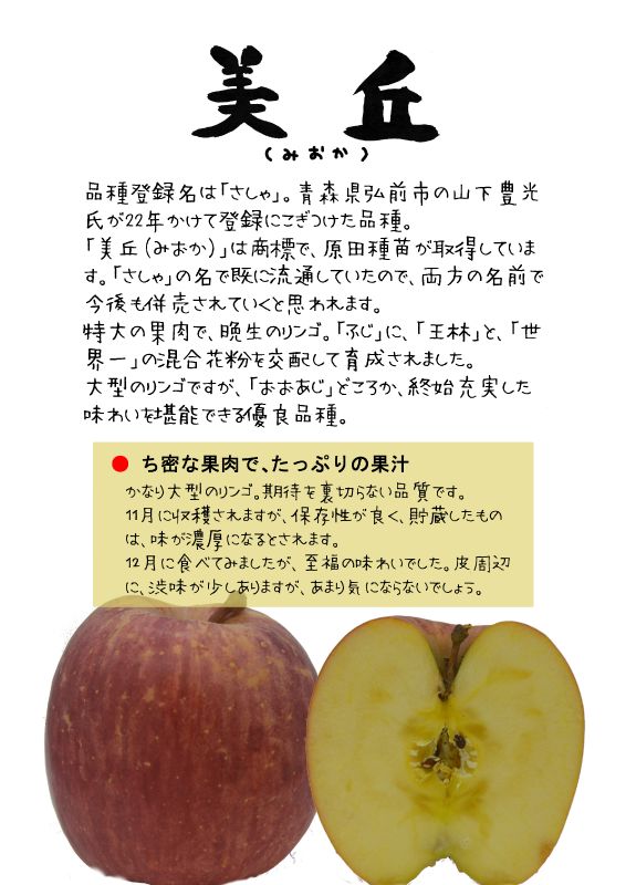 美丘　みおか　さしゃ　赤リンゴ　TX｜心にチクっとささるワードで作る「ちくわPOP（ちくわぽっぷ）」｜農産物直売所やスーパーの青果売り場の活性化に！農に特化したPOPが無料!!