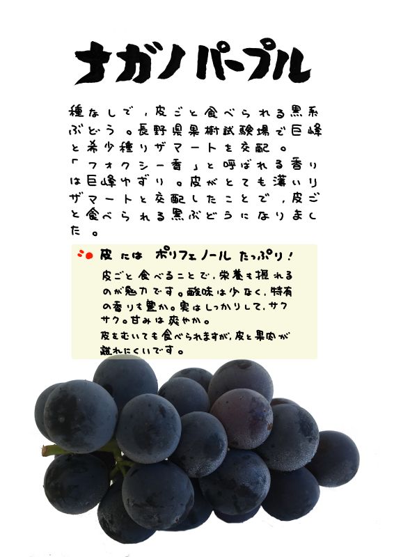ナガノパープル　ぶどう｜心にチクっとささるワードで作る「ちくわPOP（ちくわぽっぷ）」｜農産物直売所やスーパーの青果売り場の活性化に！農に特化したPOPが無料!!