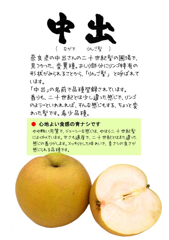中出　りんご梨｜心にチクっとささるワードで作る「ちくわPOP（ちくわぽっぷ）」｜農産物直売所やスーパーの青果売り場の活性化に！農に特化したPOPが無料!!