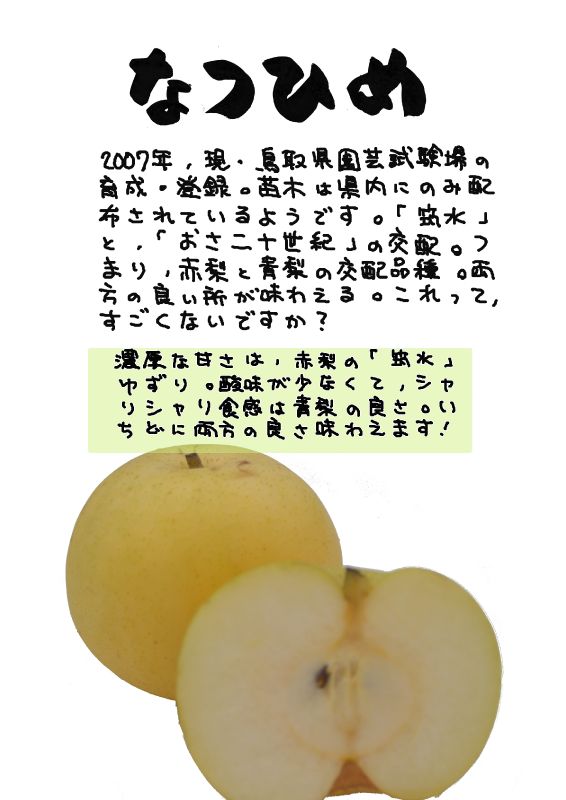 なつひめ　梨｜心にチクっとささるワードで作る「ちくわPOP（ちくわぽっぷ）」｜農産物直売所やスーパーの青果売り場の活性化に！農に特化したPOPが無料!!