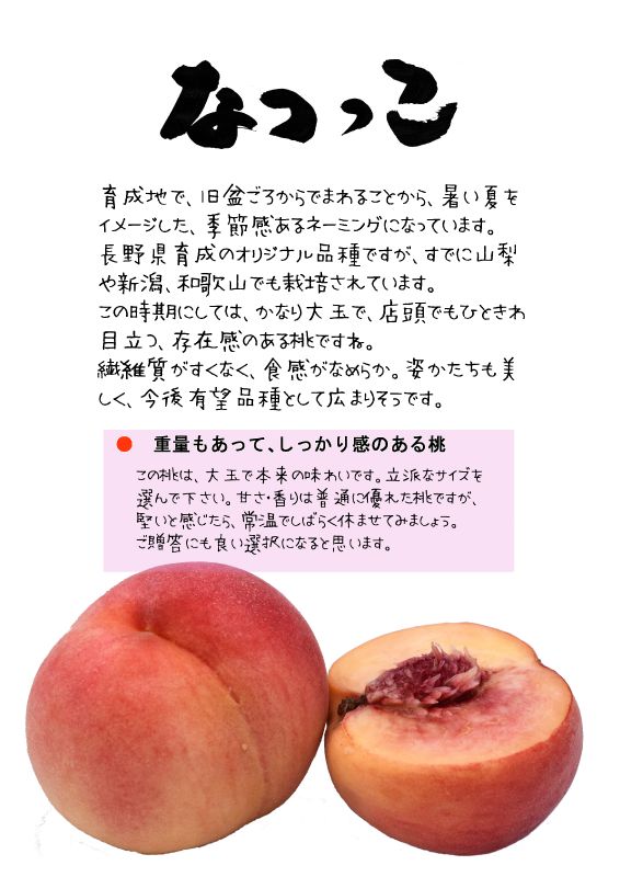 なつっこ　夏っこ　白桃　モモTX｜心にチクっとささるワードで作る「ちくわPOP（ちくわぽっぷ）」｜農産物直売所やスーパーの青果売り場の活性化に！農に特化したPOPが無料!!