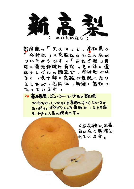 新高梨　niitaka pear｜心にチクっとささるワードで作る「ちくわPOP（ちくわぽっぷ）」｜農産物直売所やスーパーの青果売り場の活性化に！農に特化したPOPが無料!!