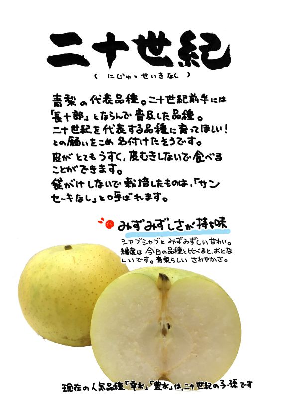 二十世紀梨｜心にチクっとささるワードで作る「ちくわPOP（ちくわぽっぷ）」｜農産物直売所やスーパーの青果売り場の活性化に！農に特化したPOPが無料!!