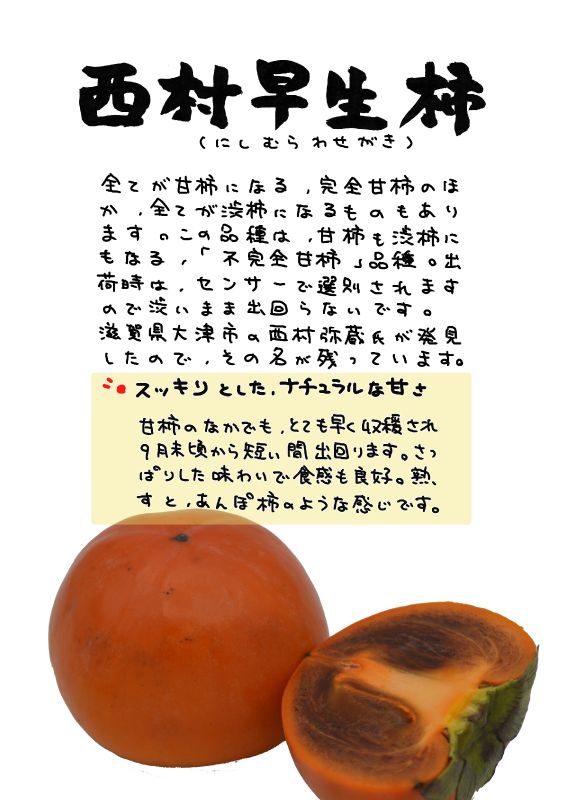 西村早生柿｜心にチクっとささるワードで作る「ちくわPOP（ちくわぽっぷ）」｜農産物直売所やスーパーの青果売り場の活性化に！農に特化したPOPが無料!!