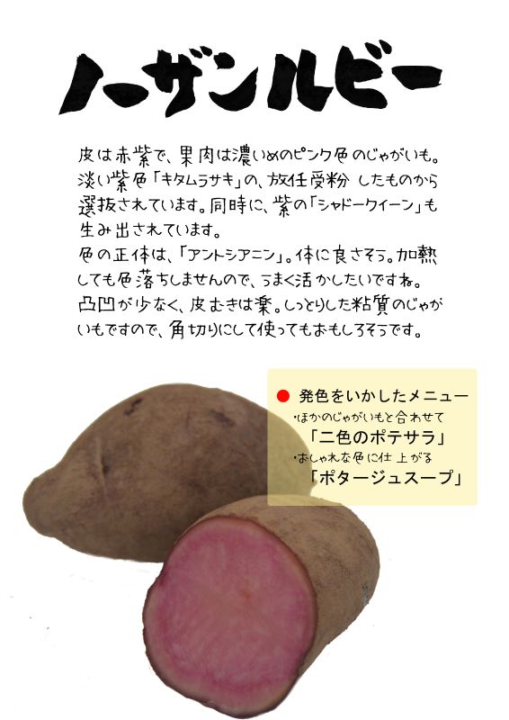 ノーザンルビー　赤系じゃがいもTX｜心にチクっとささるワードで作る「ちくわPOP（ちくわぽっぷ）」｜農産物直売所やスーパーの青果売り場の活性化に！農に特化したPOPが無料!!