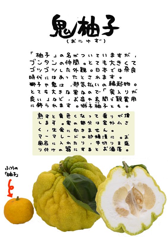 鬼柚子　獅子柚子｜心にチクっとささるワードで作る「ちくわPOP（ちくわぽっぷ）」｜農産物直売所やスーパーの青果売り場の活性化に！農に特化したPOPが無料!!