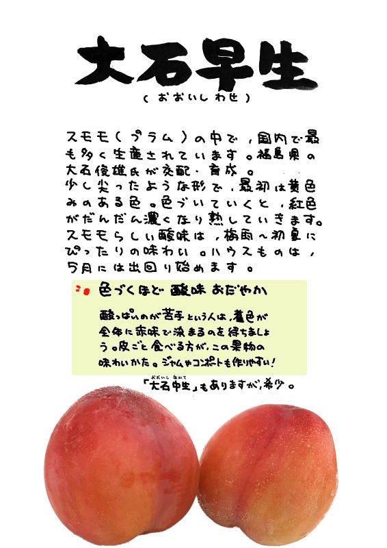 大石早生　プラム　すもも｜心にチクっとささるワードで作る「ちくわPOP（ちくわぽっぷ）」｜農産物直売所やスーパーの青果売り場の活性化に！農に特化したPOPが無料!!