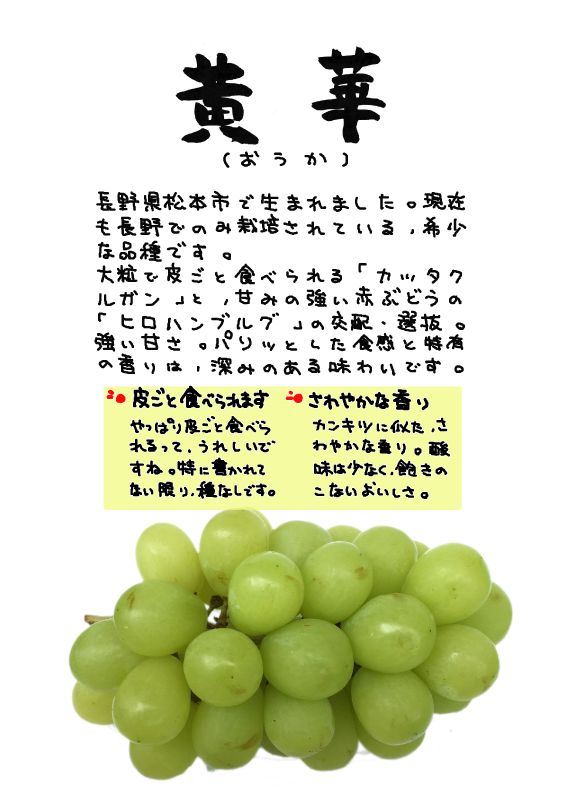黄華　ぶどう｜心にチクっとささるワードで作る「ちくわPOP（ちくわぽっぷ）」｜農産物直売所やスーパーの青果売り場の活性化に！農に特化したPOPが無料!!