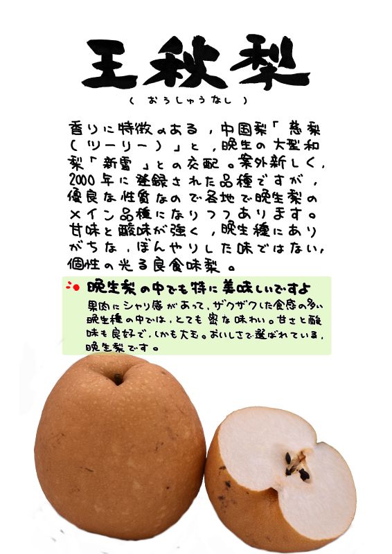 王秋梨　おうしゅうなし｜心にチクっとささるワードで作る「ちくわPOP（ちくわぽっぷ）」｜農産物直売所やスーパーの青果売り場の活性化に！農に特化したPOPが無料!!