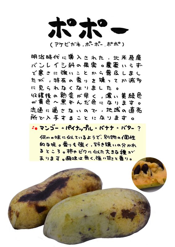 ポポー　ポーポー　pawapawa｜心にチクっとささるワードで作る「ちくわPOP（ちくわぽっぷ）」｜農産物直売所やスーパーの青果売り場の活性化に！農に特化したPOPが無料!!