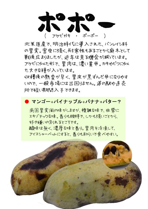 ポポー　pawpaw　アケビガキ　TX｜心にチクっとささるワードで作る「ちくわPOP（ちくわぽっぷ）」｜農産物直売所やスーパーの青果売り場の活性化に！農に特化したPOPが無料!!