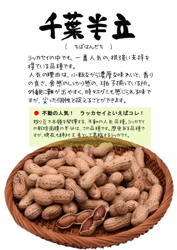 千葉半立　ちばはんだち　ラッカセイTX｜心にチクっとささるワードで作る「ちくわPOP（ちくわぽっぷ）」｜農産物直売所やスーパーの青果売り場の活性化に！農に特化したPOPが無料!!