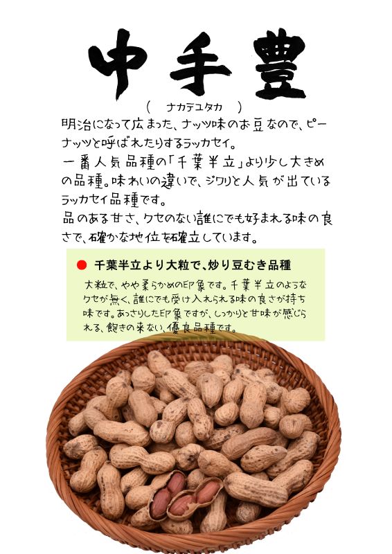 中手豊　ナカテユタカ　ラッカセイTX｜心にチクっとささるワードで作る「ちくわPOP（ちくわぽっぷ）」｜農産物直売所やスーパーの青果売り場の活性化に！農に特化したPOPが無料!!