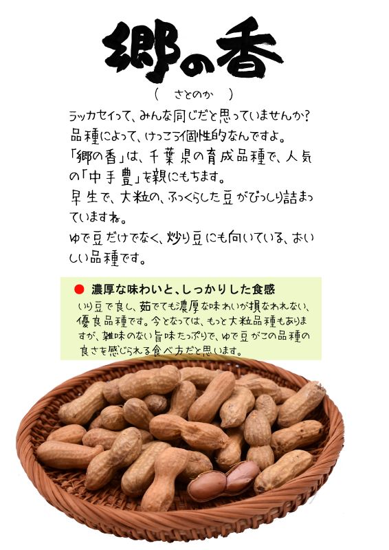 郷の香　サトノカ　ラッカセイ　TX｜心にチクっとささるワードで作る「ちくわPOP（ちくわぽっぷ）」｜農産物直売所やスーパーの青果売り場の活性化に！農に特化したPOPが無料!!