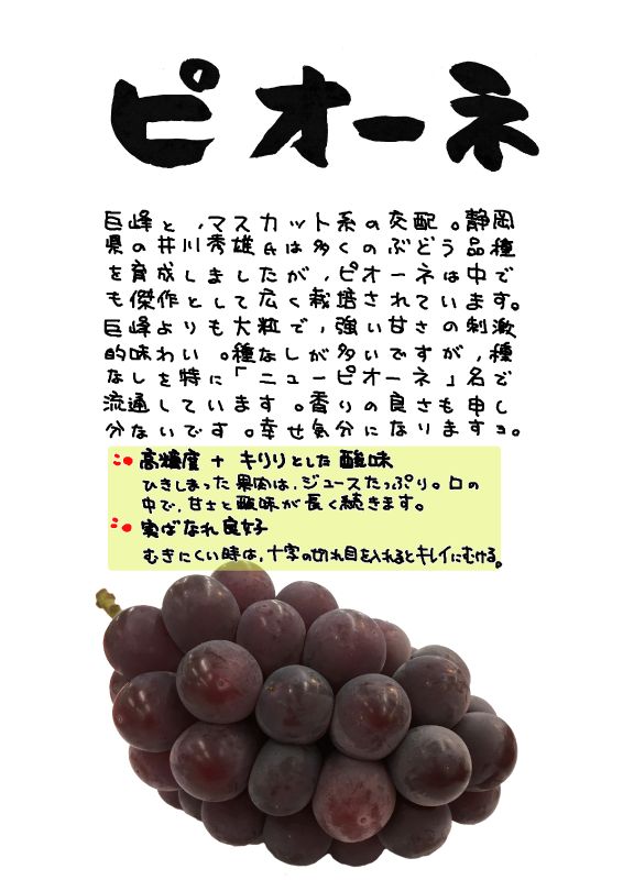 ピオーネ　ぶどう｜心にチクっとささるワードで作る「ちくわPOP（ちくわぽっぷ）」｜農産物直売所やスーパーの青果売り場の活性化に！農に特化したPOPが無料!!