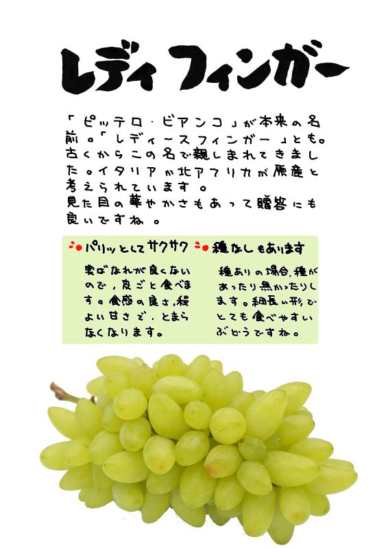 レディフィンガー｜心にチクっとささるワードで作る「ちくわPOP（ちくわぽっぷ）」｜農産物直売所やスーパーの青果売り場の活性化に！農に特化したPOPが無料!!