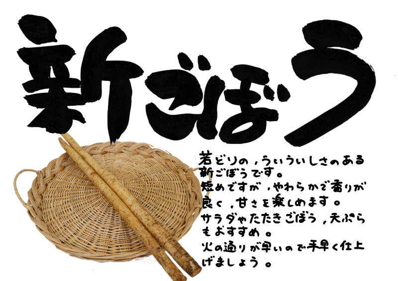 新ごぼう　２｜心にチクっとささるワードで作る「ちくわPOP（ちくわぽっぷ）」｜農産物直売所やスーパーの青果売り場の活性化に！農に特化したPOPが無料!!