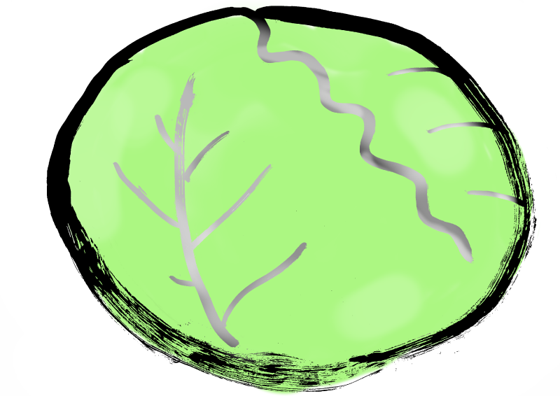 キャベツ　png 001｜心にチクっとささるワードで作る「ちくわPOP（ちくわぽっぷ）」｜農産物直売所やスーパーの青果売り場の活性化に！農に特化したPOPが無料!!