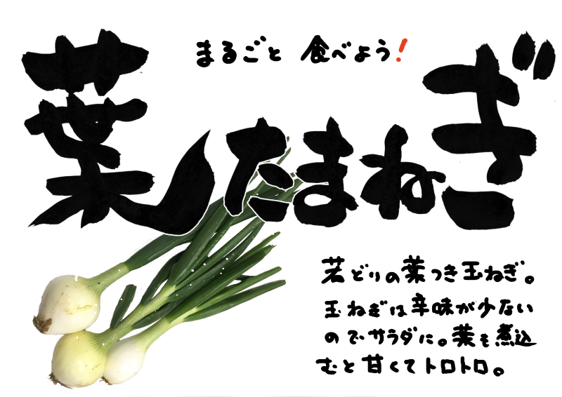 葉たまねぎ　文字あり｜心にチクっとささるワードで作る「ちくわPOP（ちくわぽっぷ）」｜農産物直売所やスーパーの青果売り場の活性化に！農に特化したPOPが無料!!