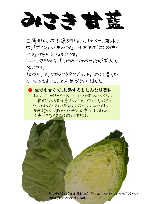みさき甘藍　キャベツ　TX｜心にチクっとささるワードで作る「ちくわPOP（ちくわぽっぷ）」｜農産物直売所やスーパーの青果売り場の活性化に！農に特化したPOPが無料!!