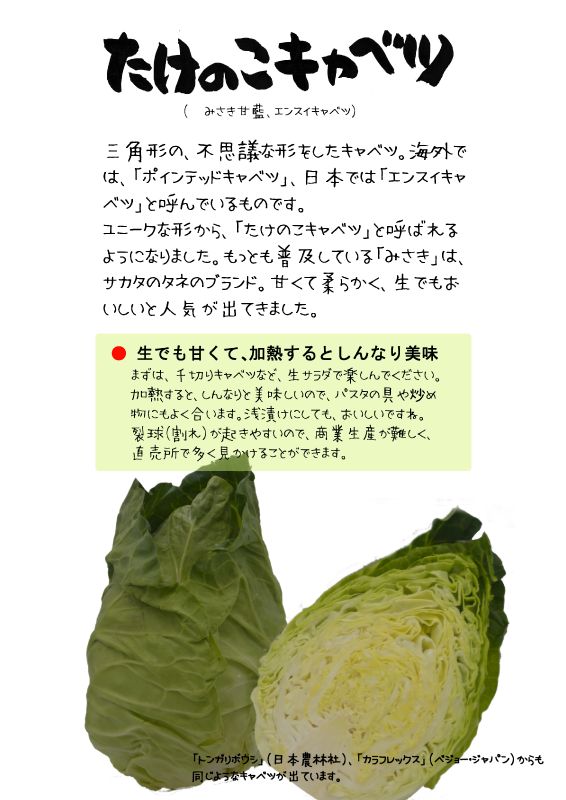 たけのこキャベツ　TX｜心にチクっとささるワードで作る「ちくわPOP（ちくわぽっぷ）」｜農産物直売所やスーパーの青果売り場の活性化に！農に特化したPOPが無料!!