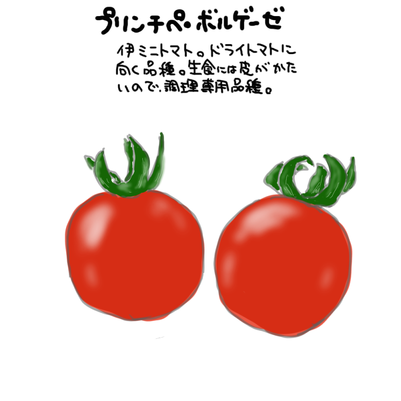プリンチペ　ボルゲーゼ　ドライミニトマト専用種Principe Borghese｜心にチクっとささるワードで作る「ちくわPOP（ちくわぽっぷ）」｜農産物直売所やスーパーの青果売り場の活性化に！農に特化したPOPが無料!!