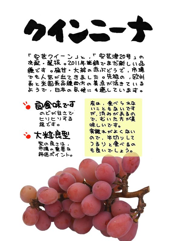 クインニーナ｜心にチクっとささるワードで作る「ちくわPOP（ちくわぽっぷ）」｜農産物直売所やスーパーの青果売り場の活性化に！農に特化したPOPが無料!!