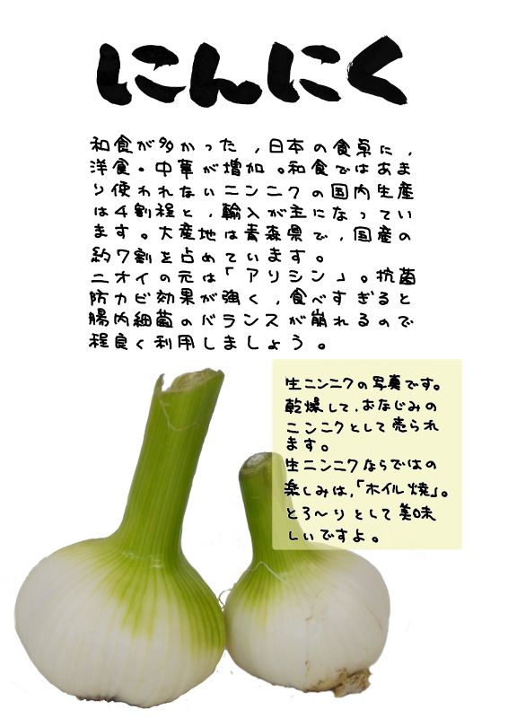 にんにく　生にんにく｜心にチクっとささるワードで作る「ちくわPOP（ちくわぽっぷ）」｜農産物直売所やスーパーの青果売り場の活性化に！農に特化したPOPが無料!!
