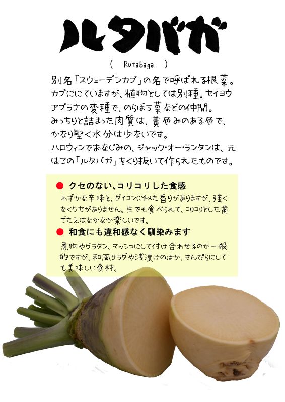 ルタバガ　ラタバガ　RutabagaTX｜心にチクっとささるワードで作る「ちくわPOP（ちくわぽっぷ）」｜農産物直売所やスーパーの青果売り場の活性化に！農に特化したPOPが無料!!