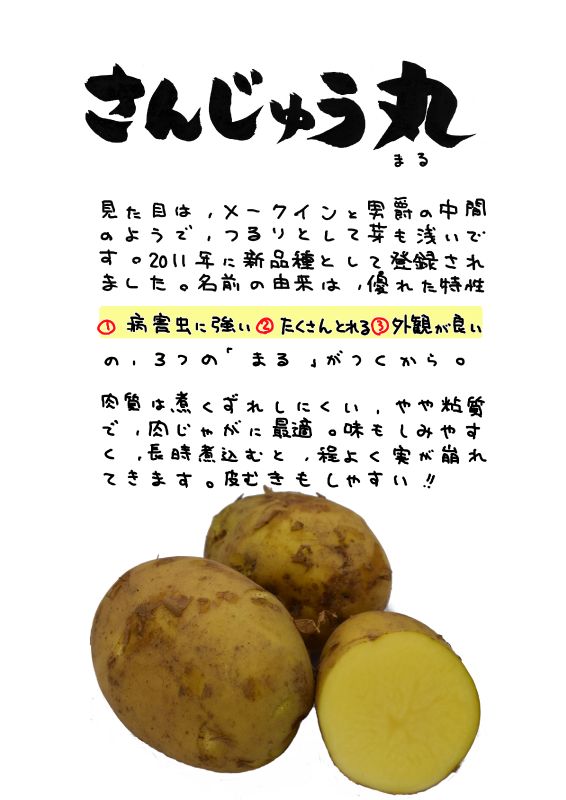 さんじゅう丸　じゃがいも｜心にチクっとささるワードで作る「ちくわPOP（ちくわぽっぷ）」｜農産物直売所やスーパーの青果売り場の活性化に！農に特化したPOPが無料!!
