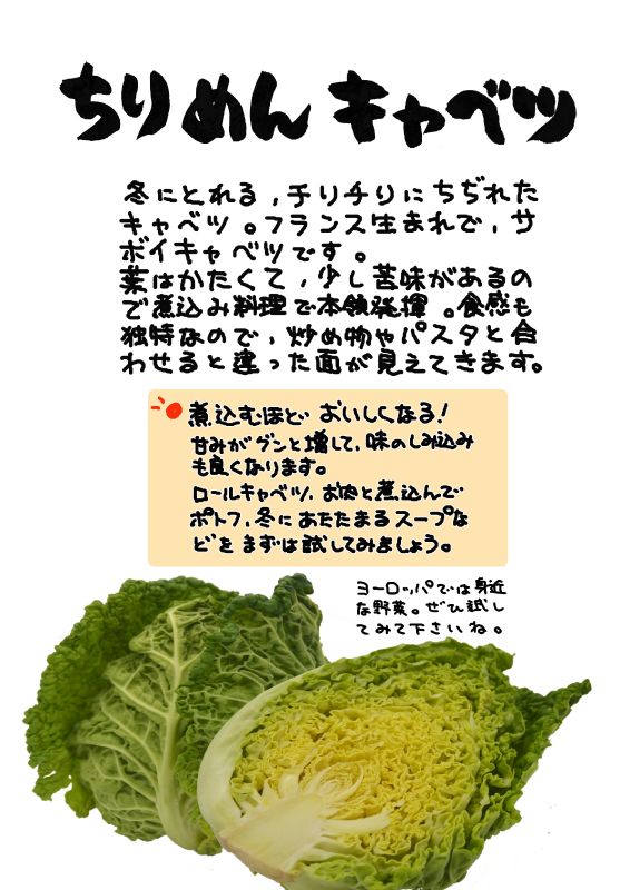 ちりめんきゃべつ｜心にチクっとささるワードで作る「ちくわPOP（ちくわぽっぷ）」｜農産物直売所やスーパーの青果売り場の活性化に！農に特化したPOPが無料!!