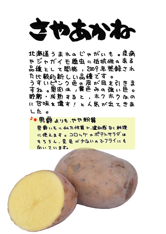 さやあかね　じゃがいも｜心にチクっとささるワードで作る「ちくわPOP（ちくわぽっぷ）」｜農産物直売所やスーパーの青果売り場の活性化に！農に特化したPOPが無料!!