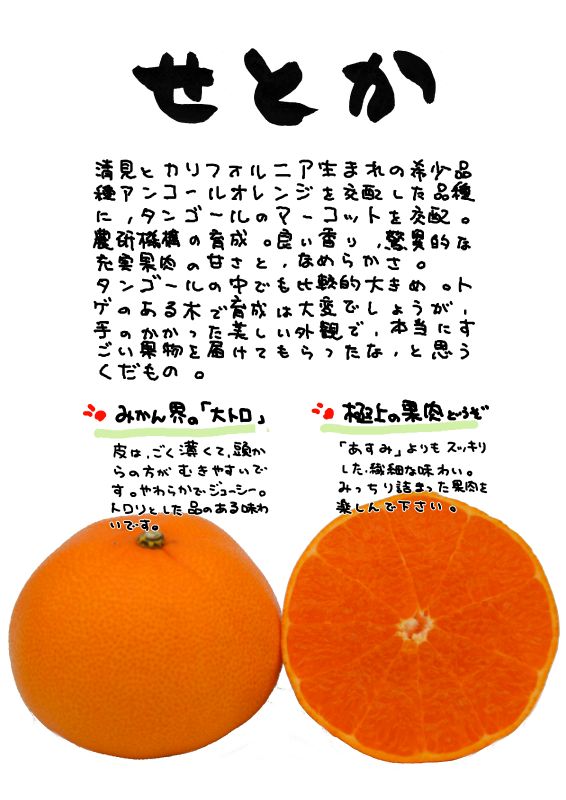 せとか　20210220｜心にチクっとささるワードで作る「ちくわPOP（ちくわぽっぷ）」｜農産物直売所やスーパーの青果売り場の活性化に！農に特化したPOPが無料!!