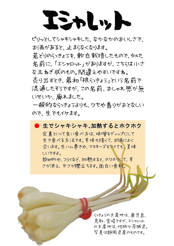 エシャレット　shallot TX｜心にチクっとささるワードで作る「ちくわPOP（ちくわぽっぷ）」｜農産物直売所やスーパーの青果売り場の活性化に！農に特化したPOPが無料!!