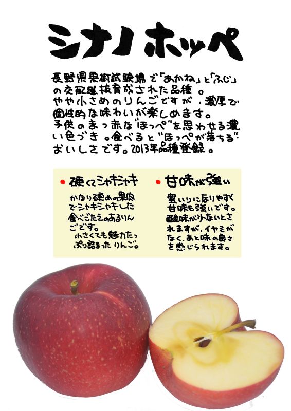 シナノホッペ｜心にチクっとささるワードで作る「ちくわPOP（ちくわぽっぷ）」｜農産物直売所やスーパーの青果売り場の活性化に！農に特化したPOPが無料!!